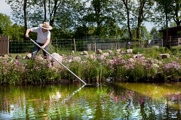 Pond Perfection at Your Fingertips: Unparalleled Pond Maintenance Services post thumbnail image