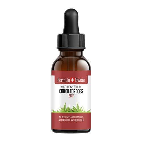 What exactly is MCT oil and precisely exactly why is it Used in CBD Things? post thumbnail image