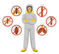 Effective Pest Control Solutions in Las Vegas post thumbnail image
