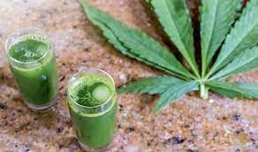 The Road to a Toxin-Free You: Best THC Detox Programs post thumbnail image