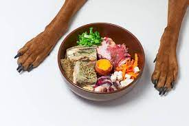 Raw Dog Food 101: A Guide to Optimal Canine Nutrition post thumbnail image