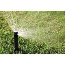Sustainable Irrigation Practices in Austin: Environmentally Friendly Solutions post thumbnail image