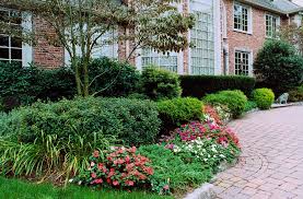 Crafting Natural Splendor: Bergen County, NJ Landscaping Services post thumbnail image