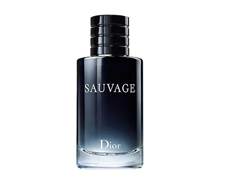 Discovering Dior Sauvage: The Interesting Scent of recent Sophistication post thumbnail image