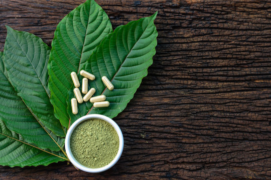Crafting Wellness: Purchase Pure Kratom Powder for Your Lifestyle post thumbnail image